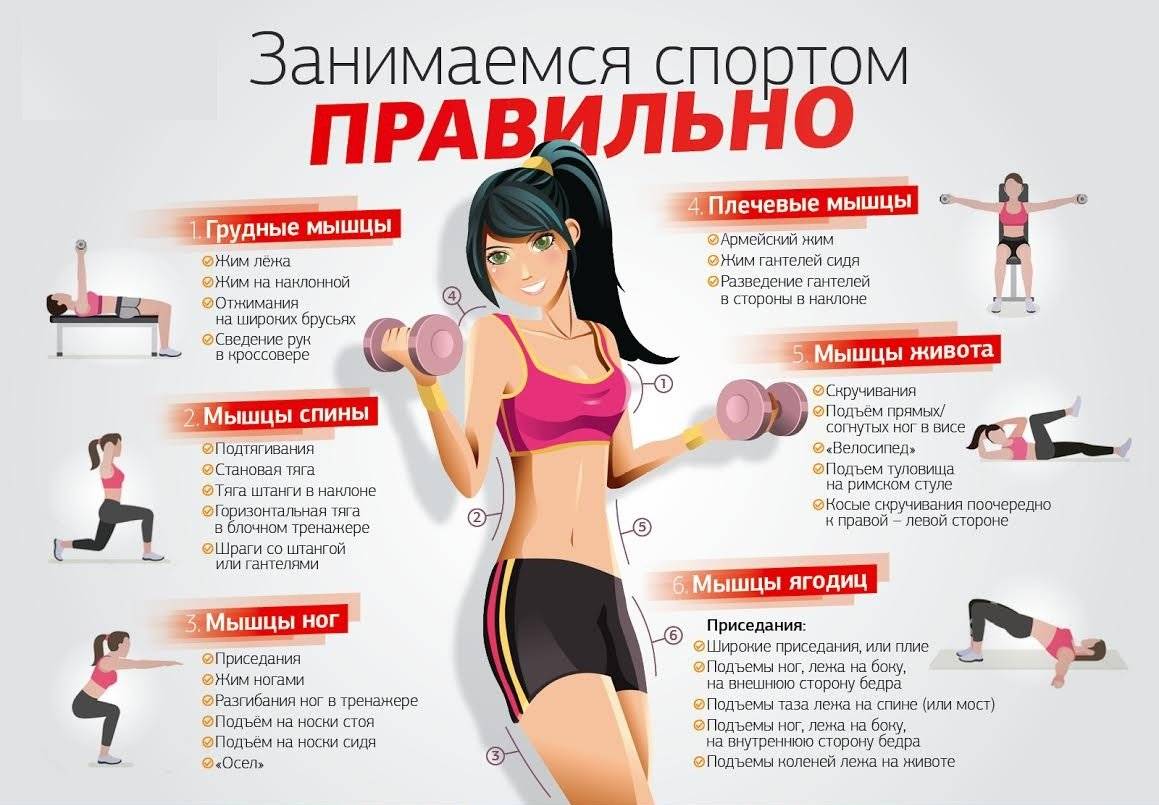 Руководство как правильно выбрать фитнес-клуб