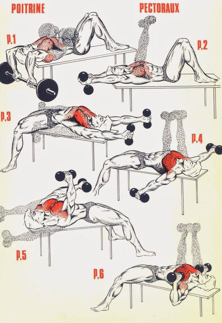 Упражнения на грудь в домашних условиях: тренировка для грудных мышц