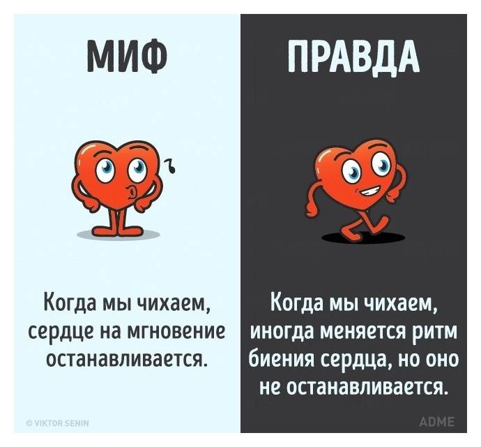 100 удивительных фактов о человеческом теле и мозге | brodude.ru