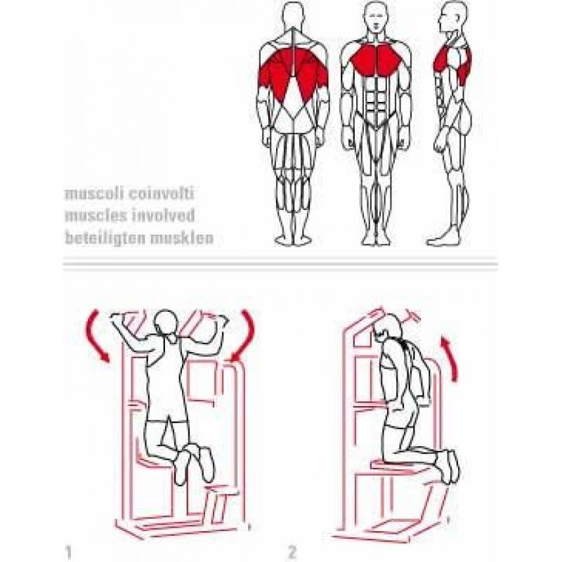 ᐉ подтягивания в гравитроне для девушек. какие мышцы работают, техника широким/узким хватом, на бицепс - vualiasalon.ru