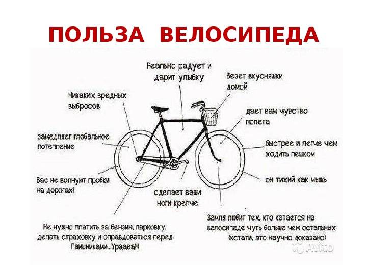 Езда на велосипеде: польза и вред для мужчин