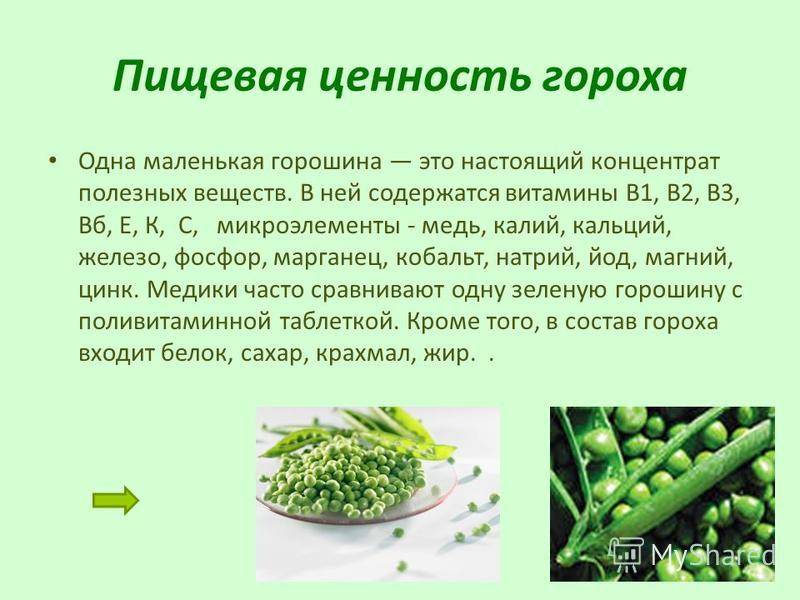 Горох: польза и вред. калорийность, советы по приготовлению, рецепты :: syl.ru