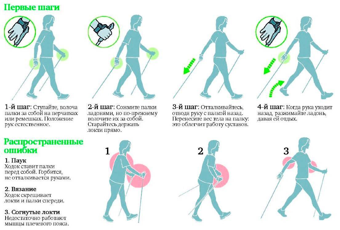 Техника скандинавской ходьбы | как правильно ходить, как выбрать палки