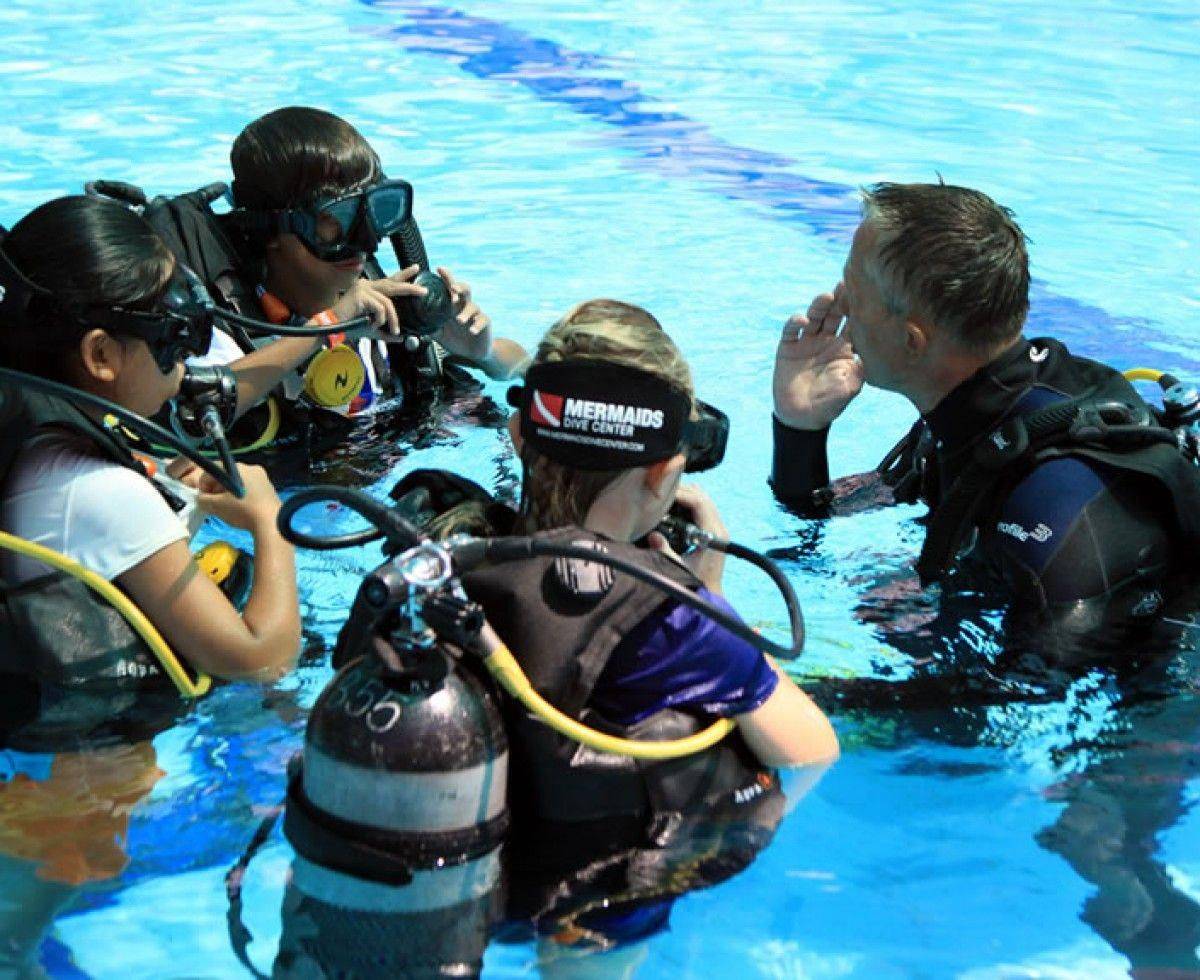 С чего начать и какую систему обучения дайвингу выбрать ? diving. where to begin ?