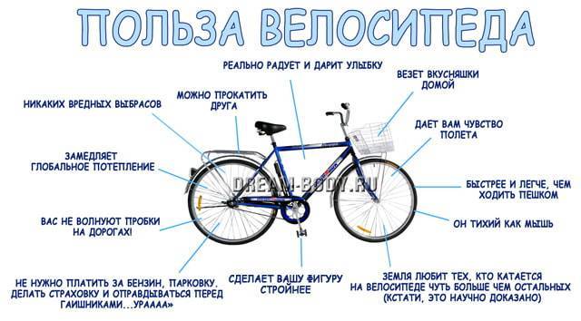 «велосипед»: как правильно делать упражнение, польза и противопоказания