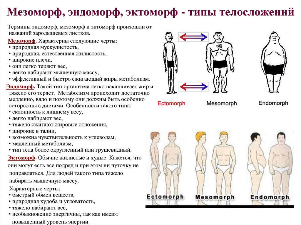 Типы женского телосложения. простая и удобная классификация.