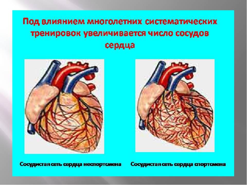 Суставная гимнастика польза и упражнения