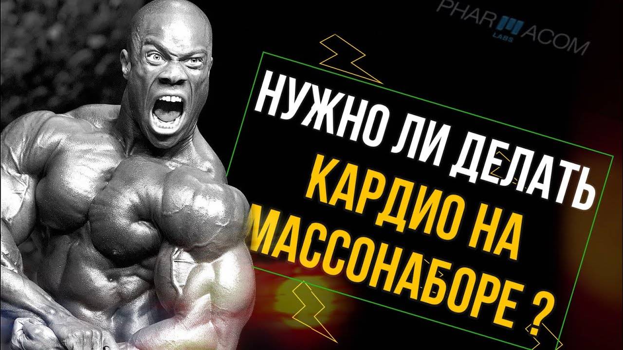 Повышать нагрузки на тренировках и не навредить сердцу | элтацин®