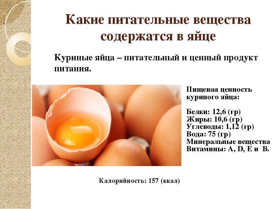 Куриные яйца: польза и вред для организма человека, противопоказания