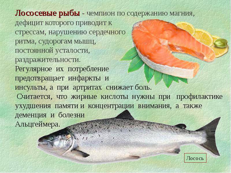 Самая полезная рыба для человека: топ 10 полезных рыб