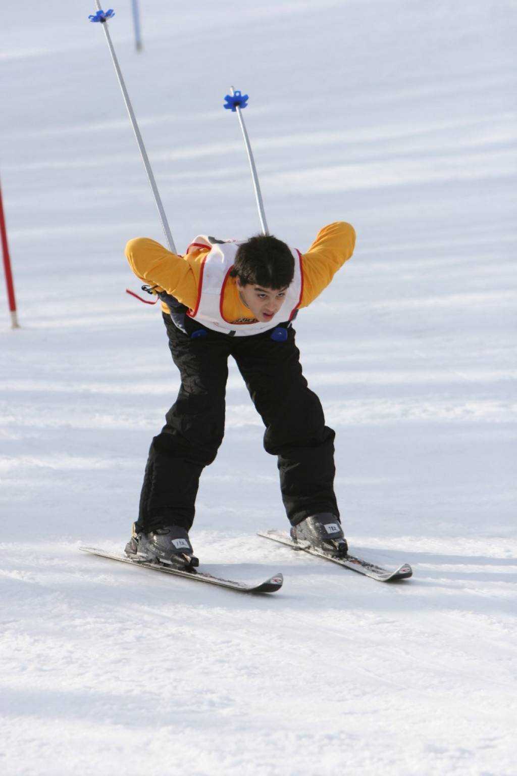 Техника катания на горных лыжах