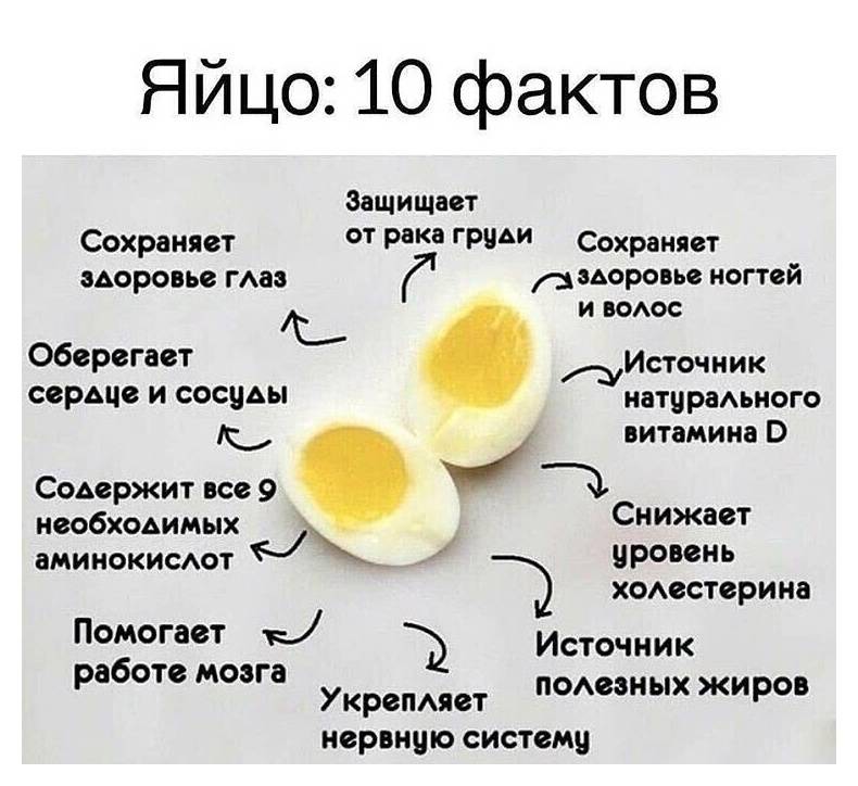 Вред и польза куриных яиц
