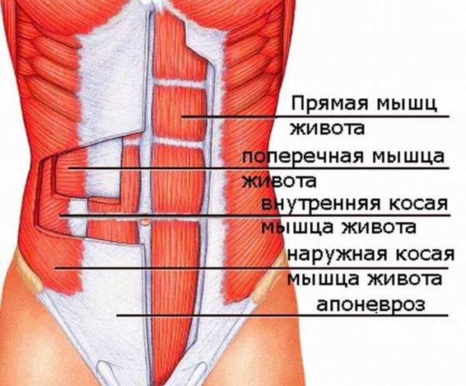 Боль в животе: где и что болит? * клиника диана в санкт-петербурге