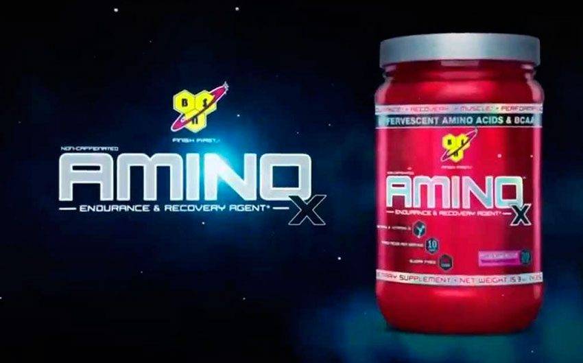 Amino x bsn — инновация на рынке спортивного питания от компании бсн — сайт для велосипедистов