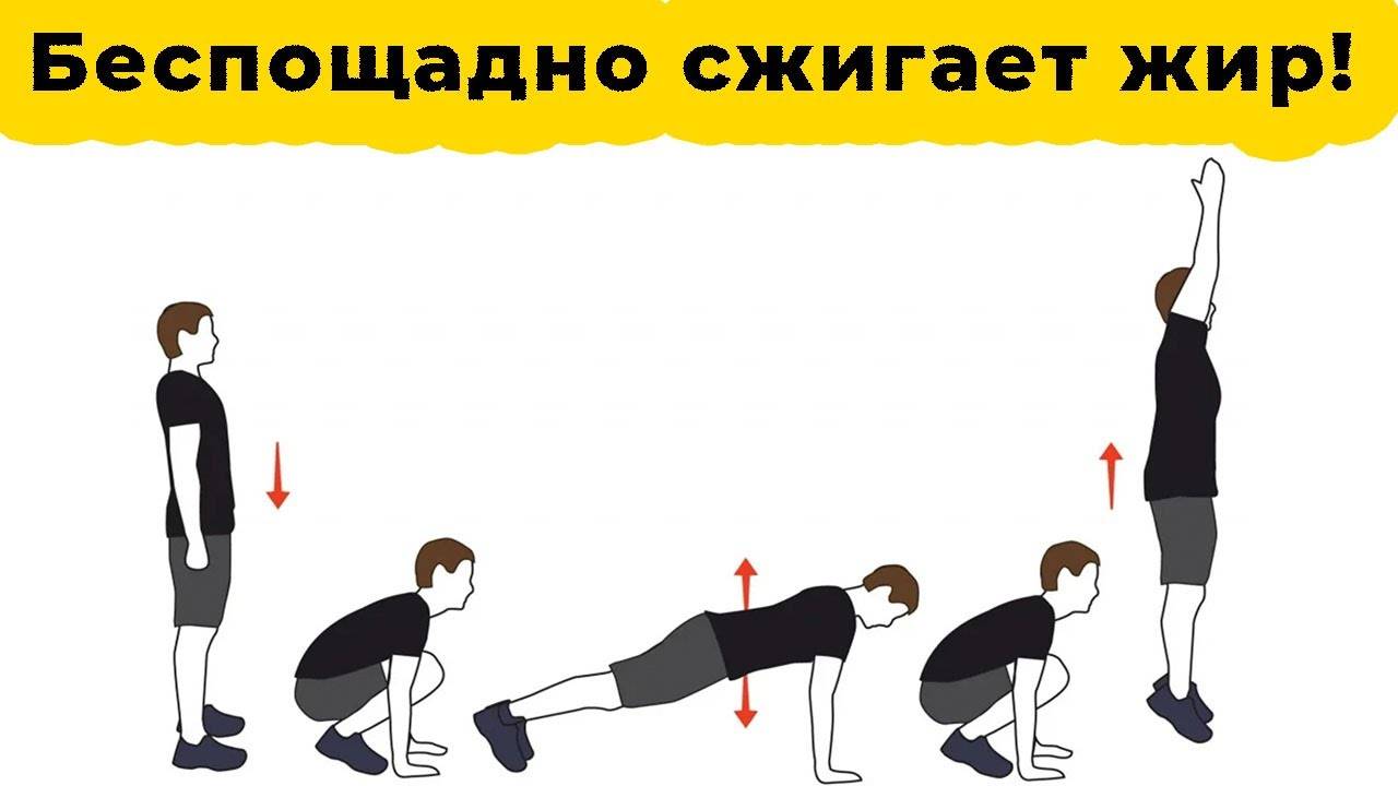 Техника выполнения берпи (бурпи, burpee)