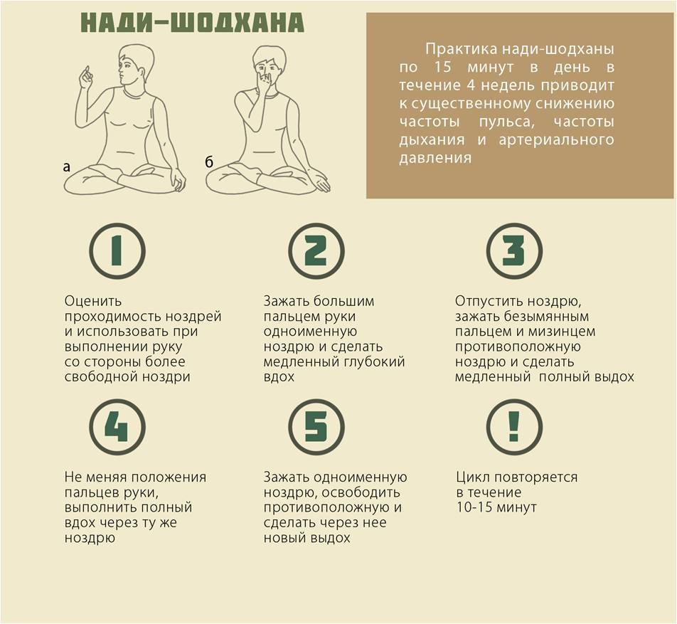 Пранаяма что это: техника дыхания для начинающих, йога, отзывы
