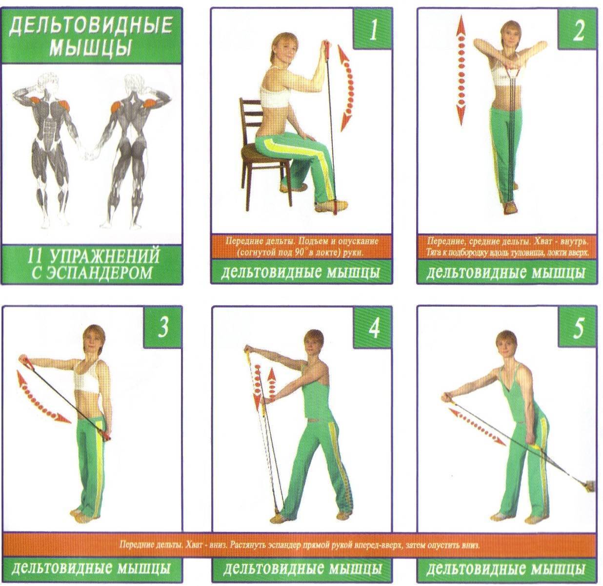 Упражнения с резинкой для спины для женщин. Упражнения с ленточным эспандером для женщин для спины. Комплекс упражнений с ленточным эспандером для женщин. Упражнения с ленточным эспандером для рук. Эспандер лента упражнения для мужчин.