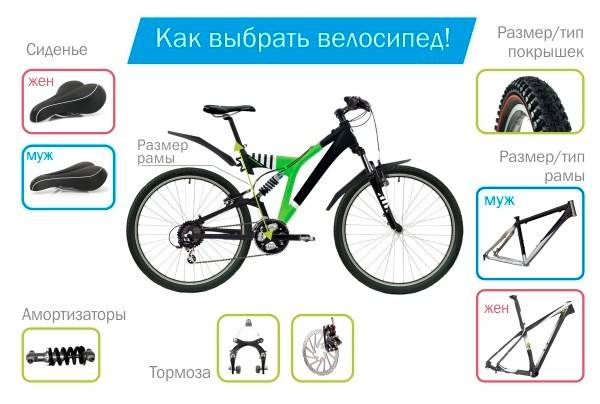 Как выбрать велосипед взрослому? топ-5 критериев выбора :: businessman.ru