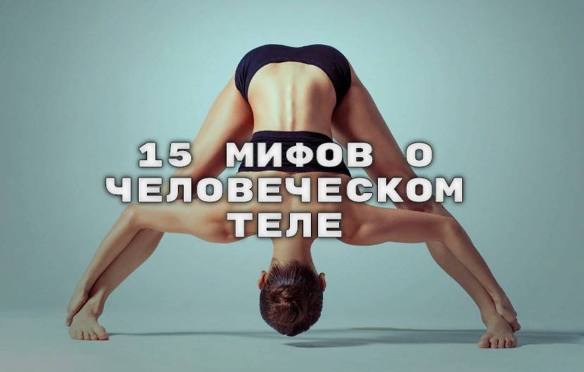 Топ 5 мифов о нашем теле, в которые вы продолжаете верить - hi-news.ru