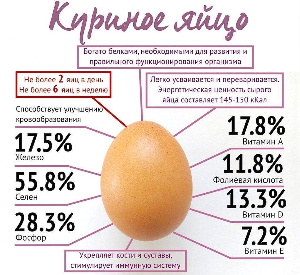 Сколько яиц можно съедать в день и как правильно их готовить - новости yellmed.ru
