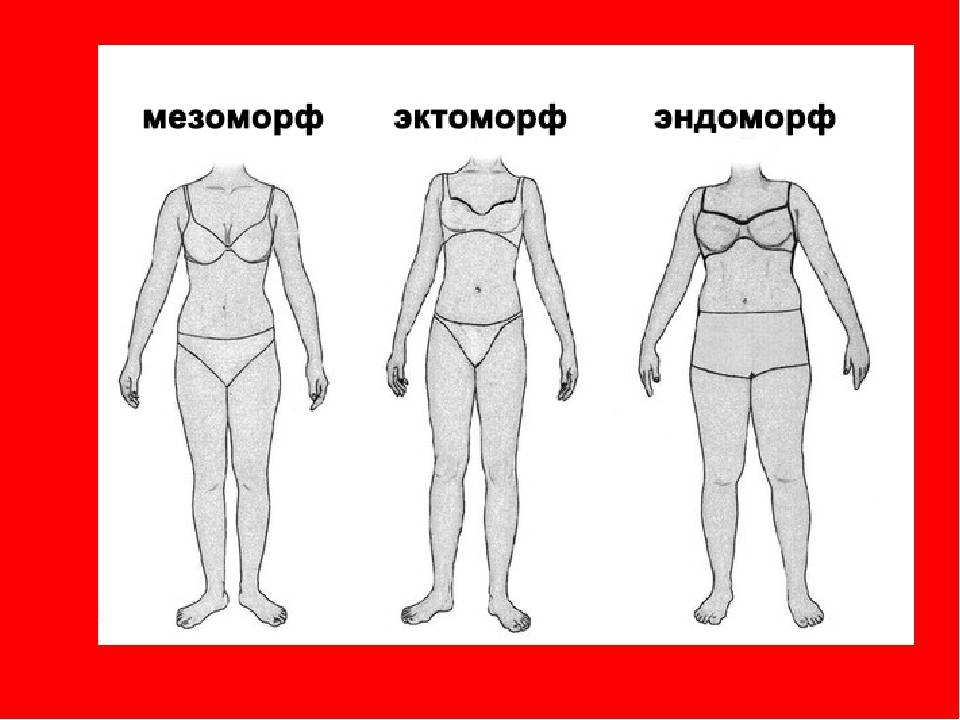 Эктоморф, мезоморф, эндоморф: как определить тип телосложения