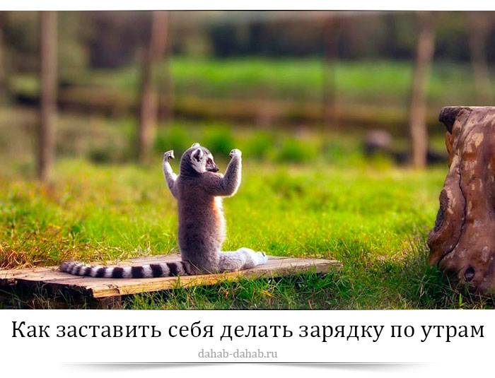Утренняя зарядка: польза и эффективные комплексы упражнений