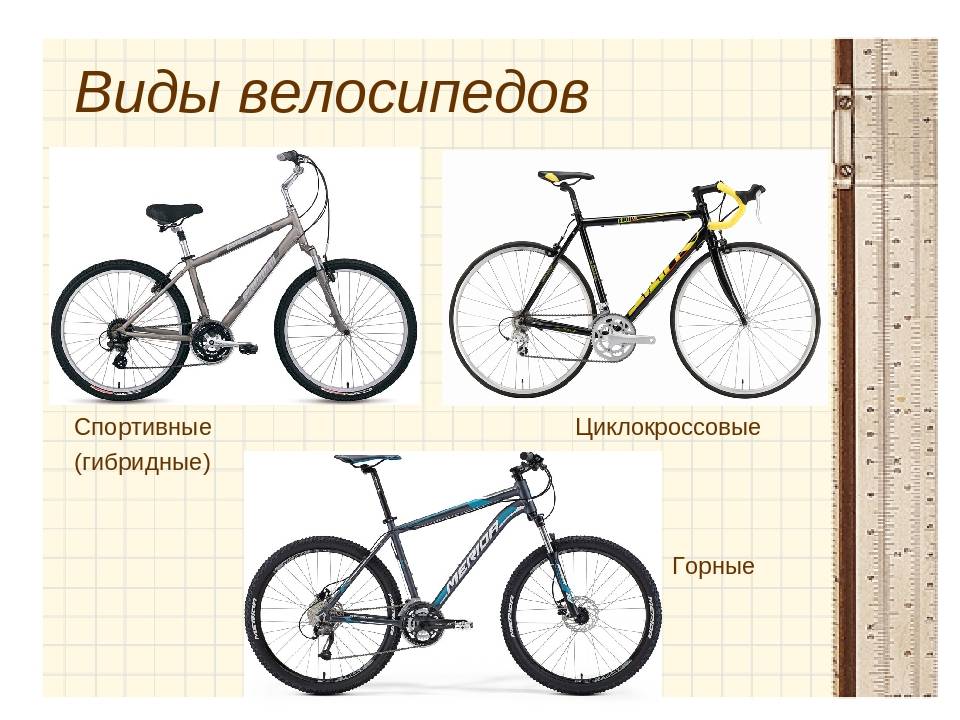 Горные велосипеды (всех видов): что, как и какой лучше