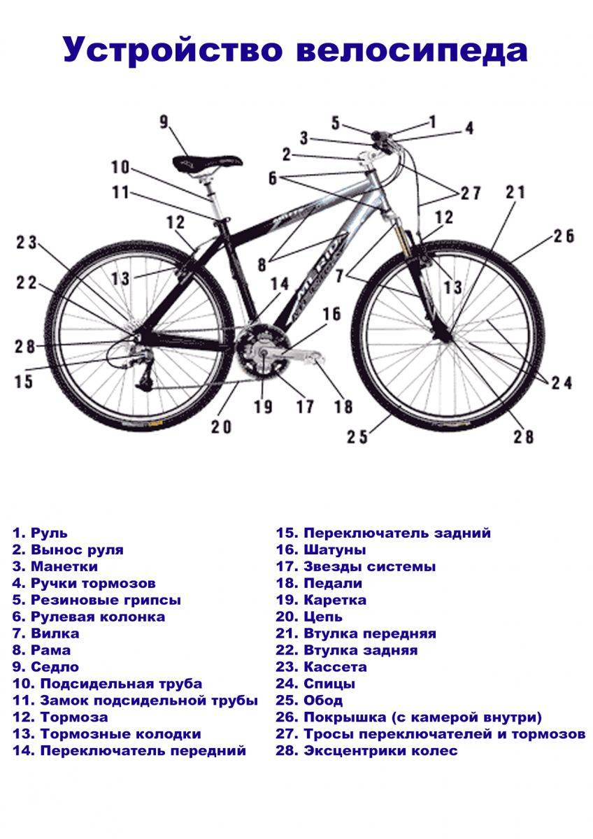 Виды и особенности спортивных велосипедов