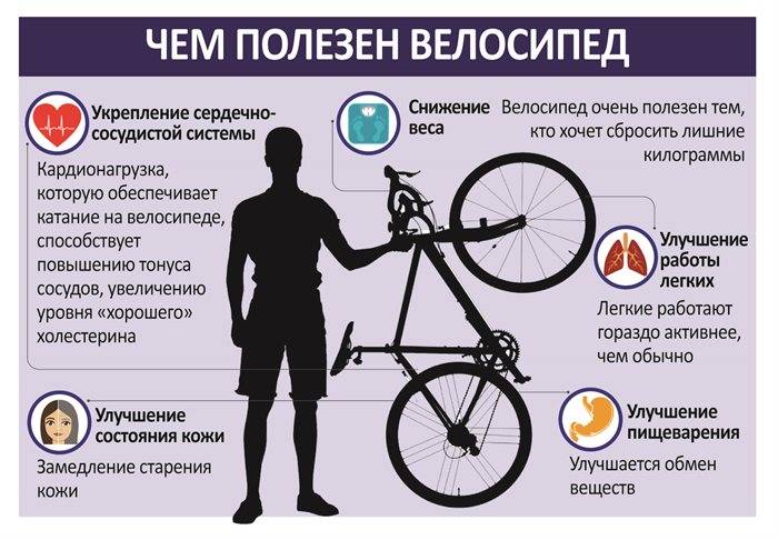 Польза и вред велосипеда, какие мышцы работают, как выбрать