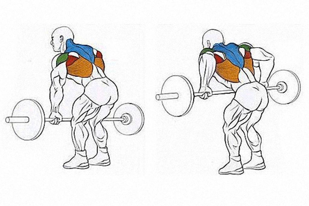 «пуловер на блоке»: проработка широчайших мышц спины