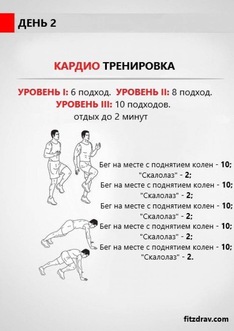 Какие тренировки самые эффективные для похудения новичка: силовые или кардио | фитнес тренер юрий спасокукоцкий | дзен