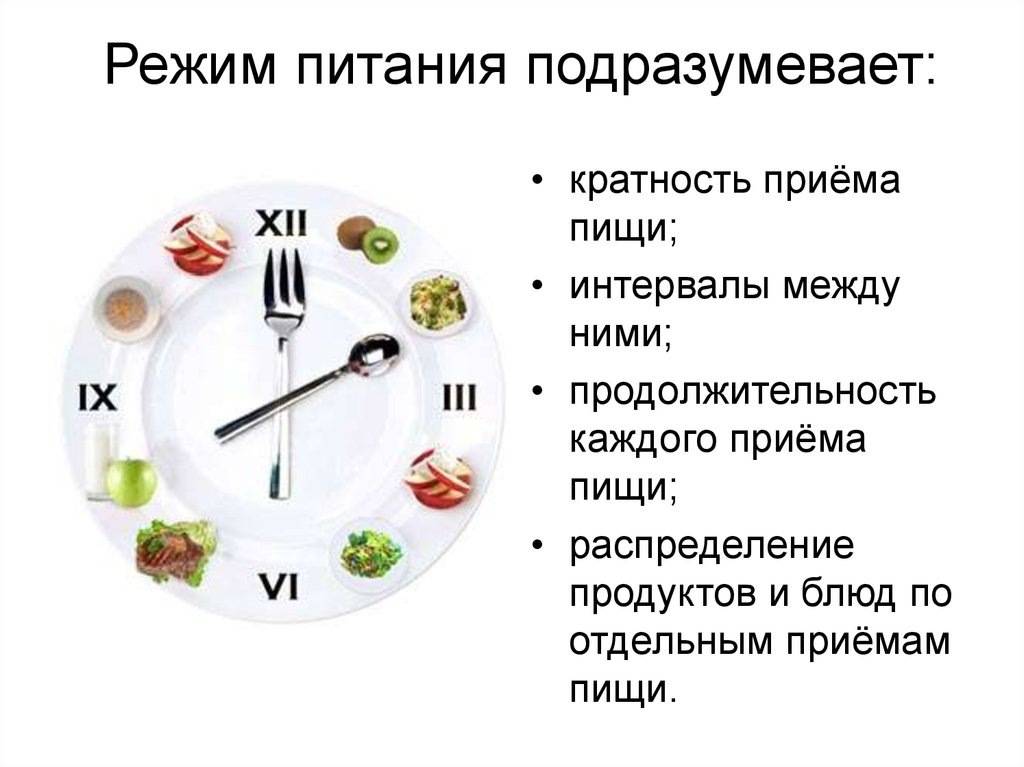 Правильное меню на день: как надо питаться в течение дня?