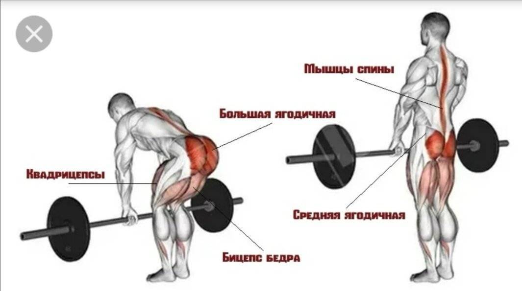 Как делать тягу гантели. Румынская тяга группы мышц. Мышцы задействованные при румынской тяге. Румынская тяга с гантелями мышцы задействованы. Румынская тяга какие мышцы работают.