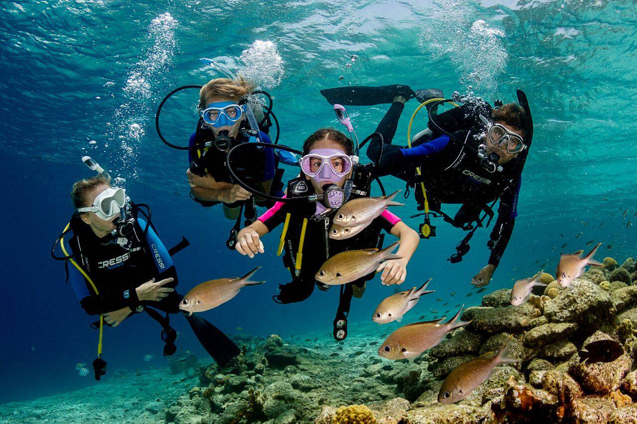 В чем разница между дайверами уровня scuba diver и open water diver? | padi