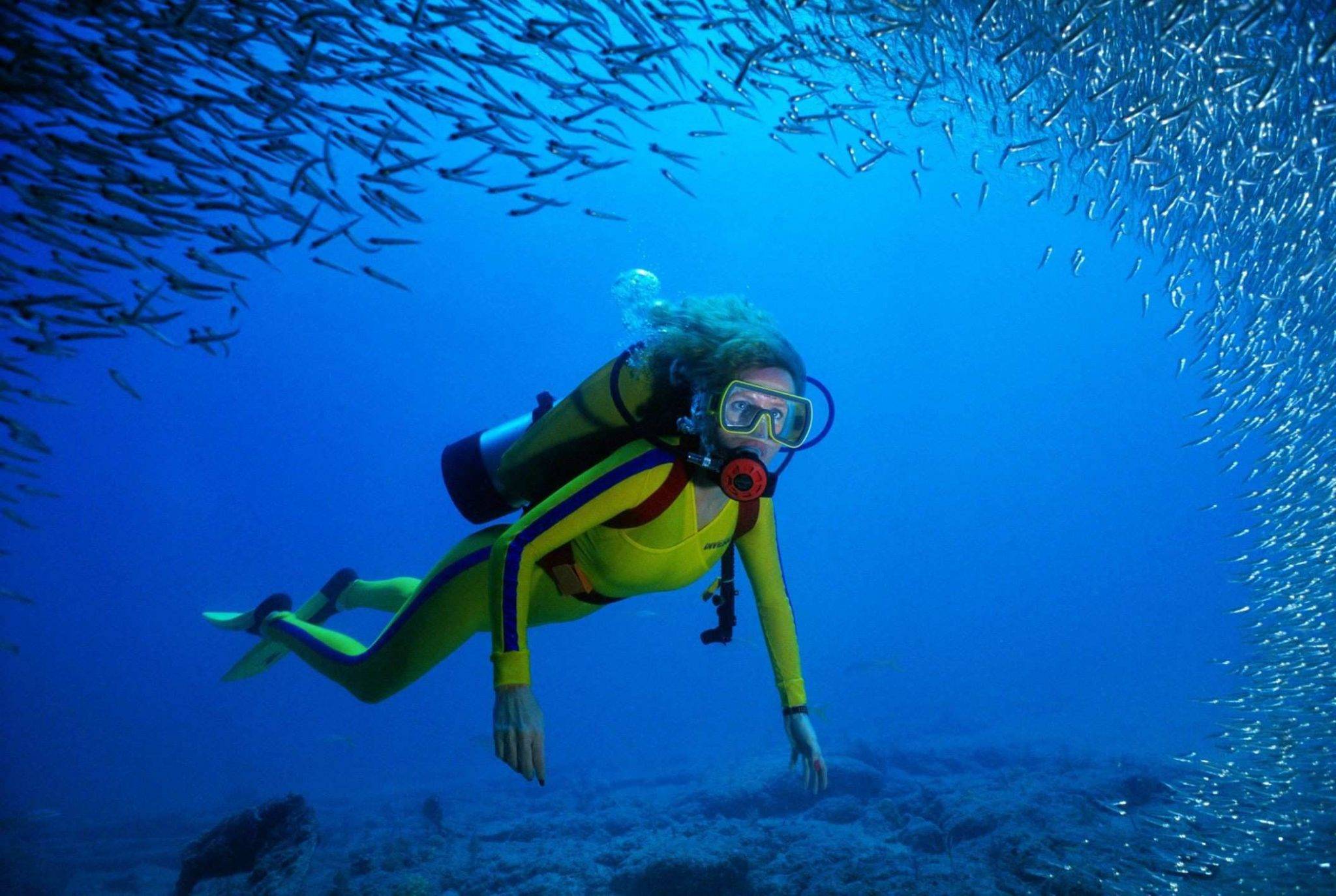 Скуба-дайвинг — это нечто большее, чем ныряние с аквалангом