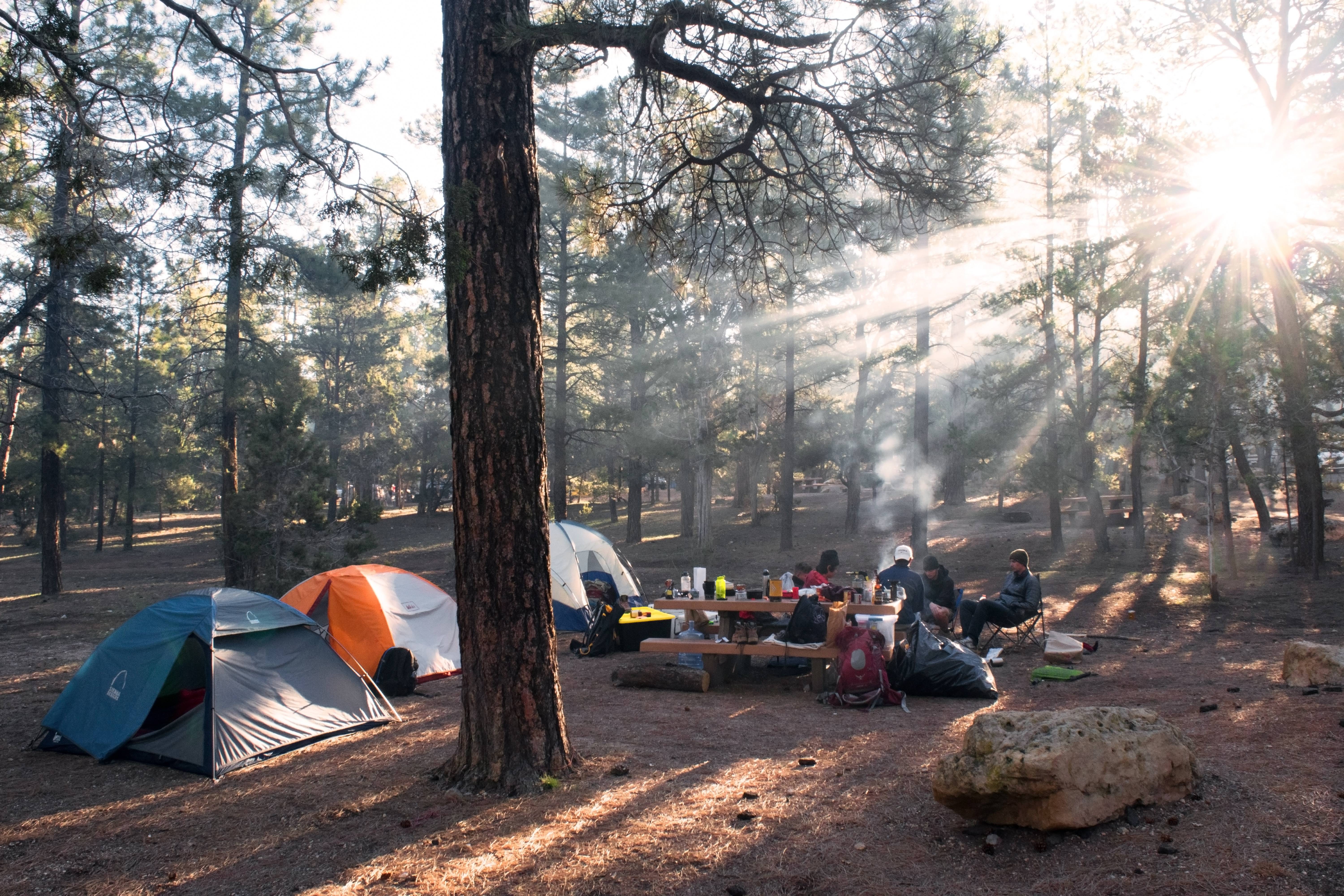 Туристический лагерь в лесу