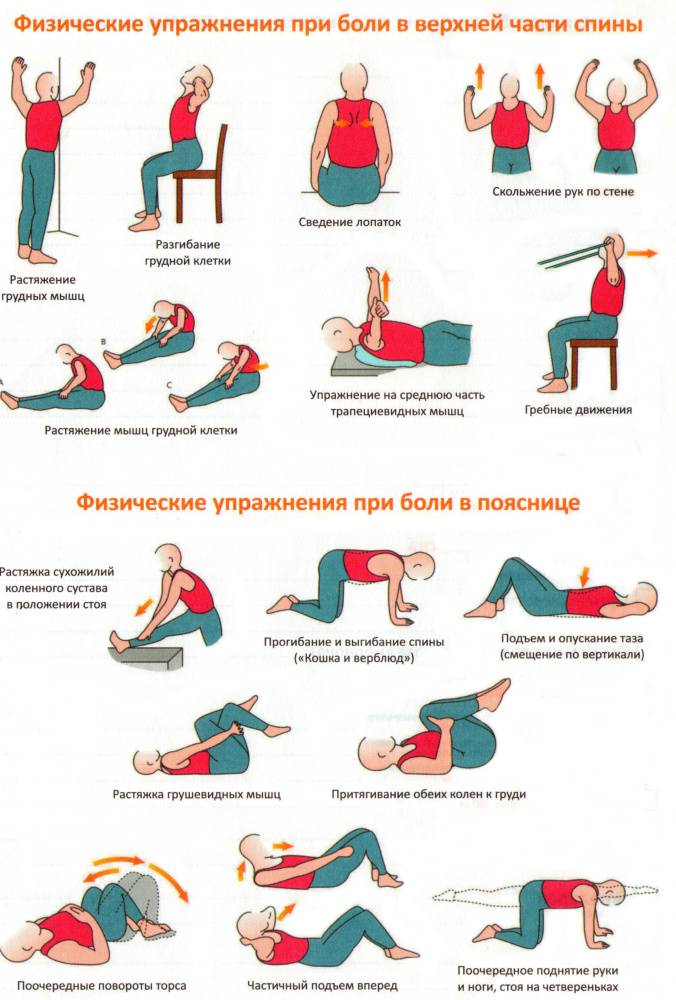 Упражнения для укрепления спины у детей: техника выполнения и противопоказания