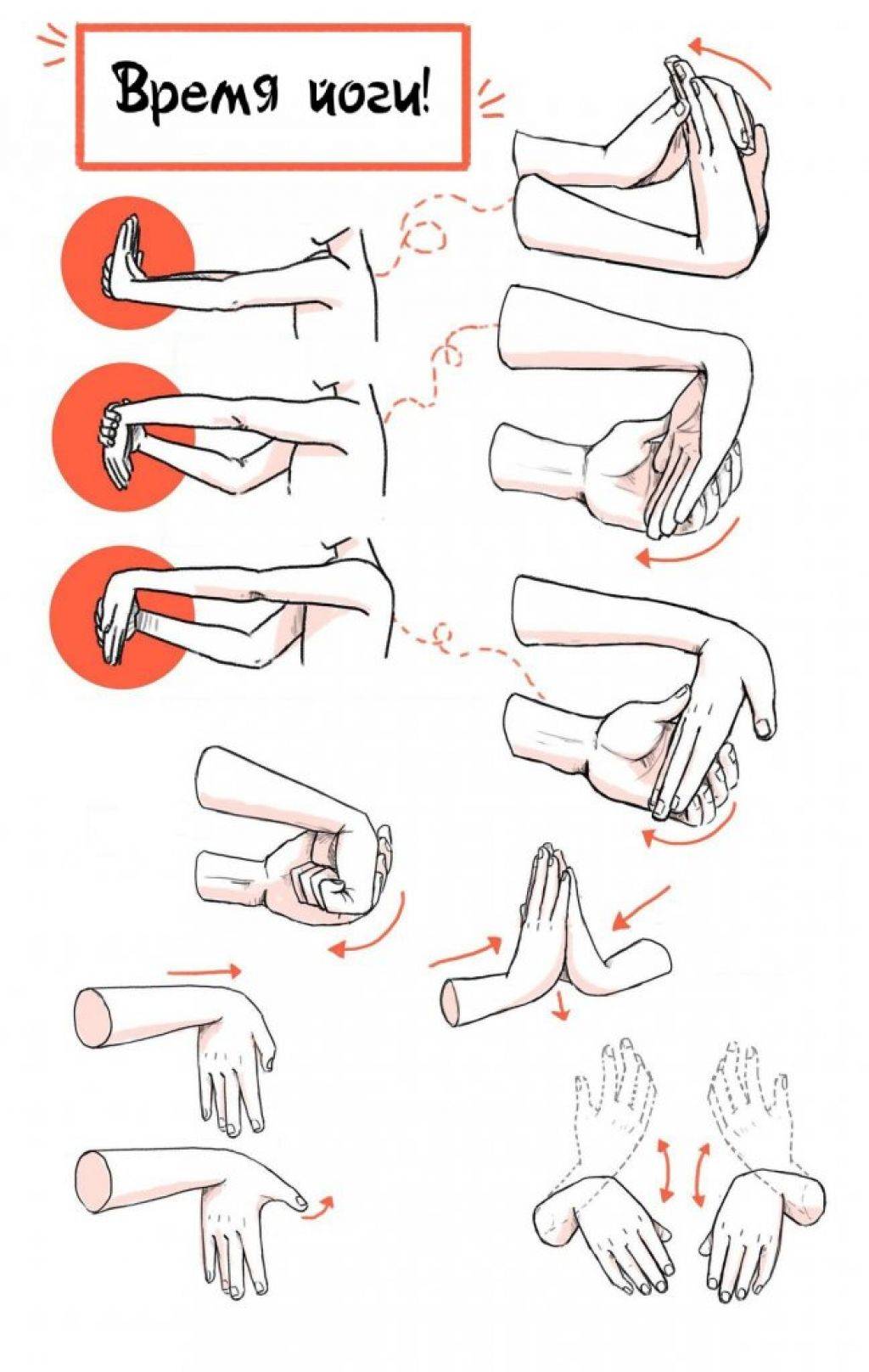 Упражнения на запястье. Упражнения, растяжки суставов кистей рук.. Как укрепить мышцы кисти. Упражнения для укрепления пальцев рук и кистей. Укрепление запястий упражнения.