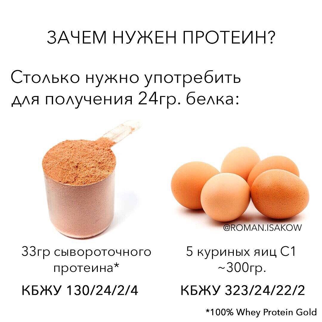 Какой протеин лучше? руководство для начинающих