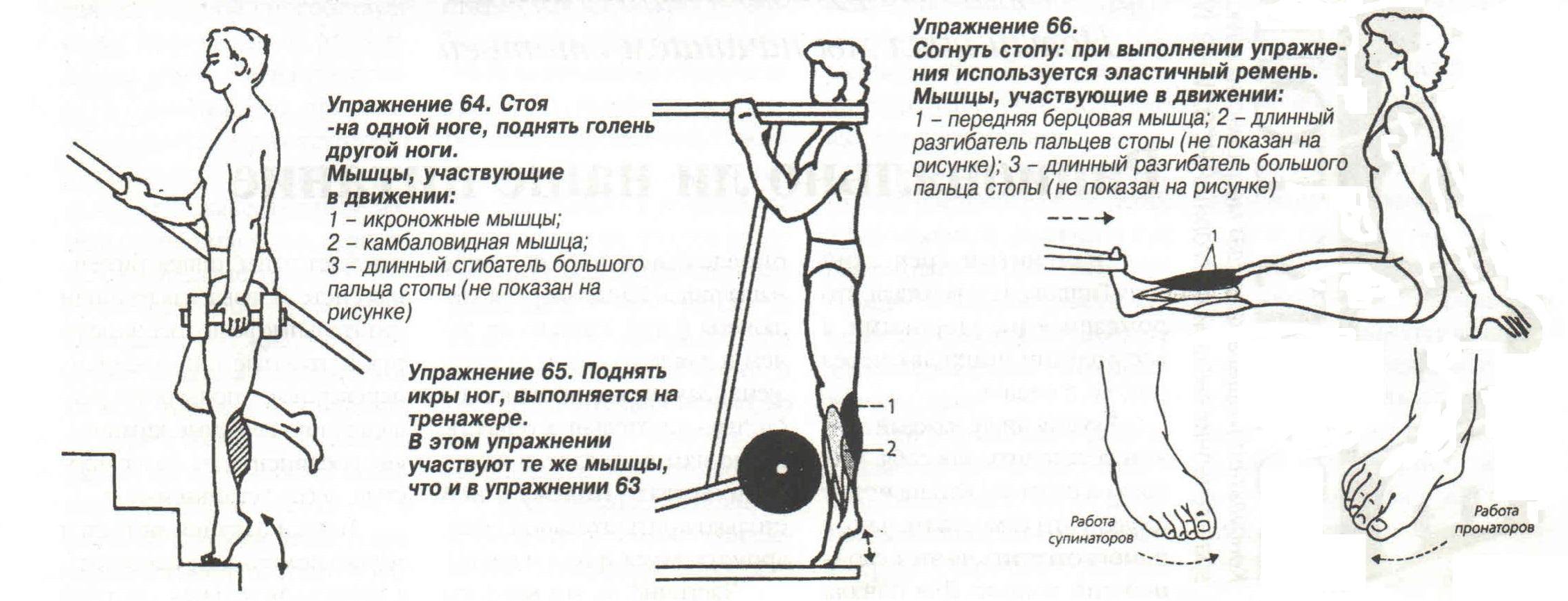 Как укрепить голеностоп, разработать подъем дома и в зале