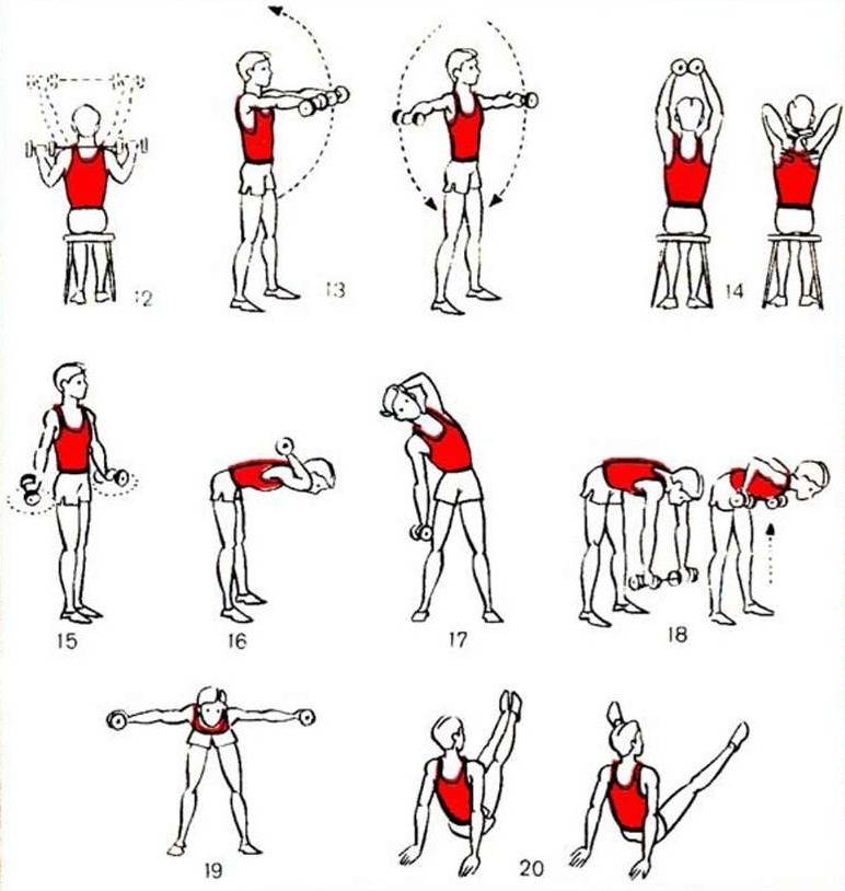 Упражнения с гантелями для женщин на все мышцы