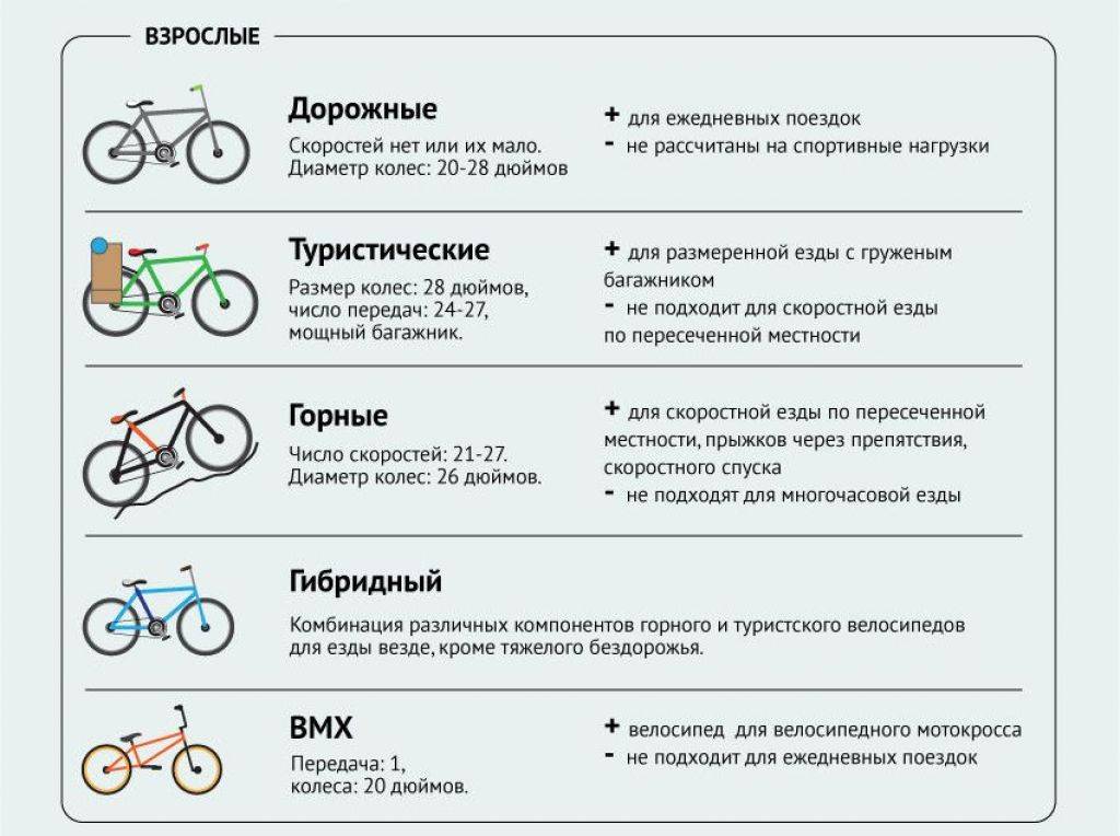 Велосипед спортивный - особенности, типы и виды, лучшие модели, отзывы владельцев