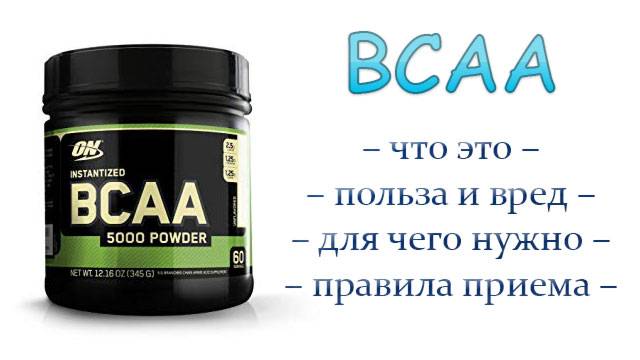 Bcaa, витамины для спортсменов: инструкция по применению, отзывы, польза и вред - tony.ru