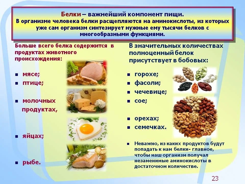 Для чего нужны белки: 12 полезных свойств белка для организма человека