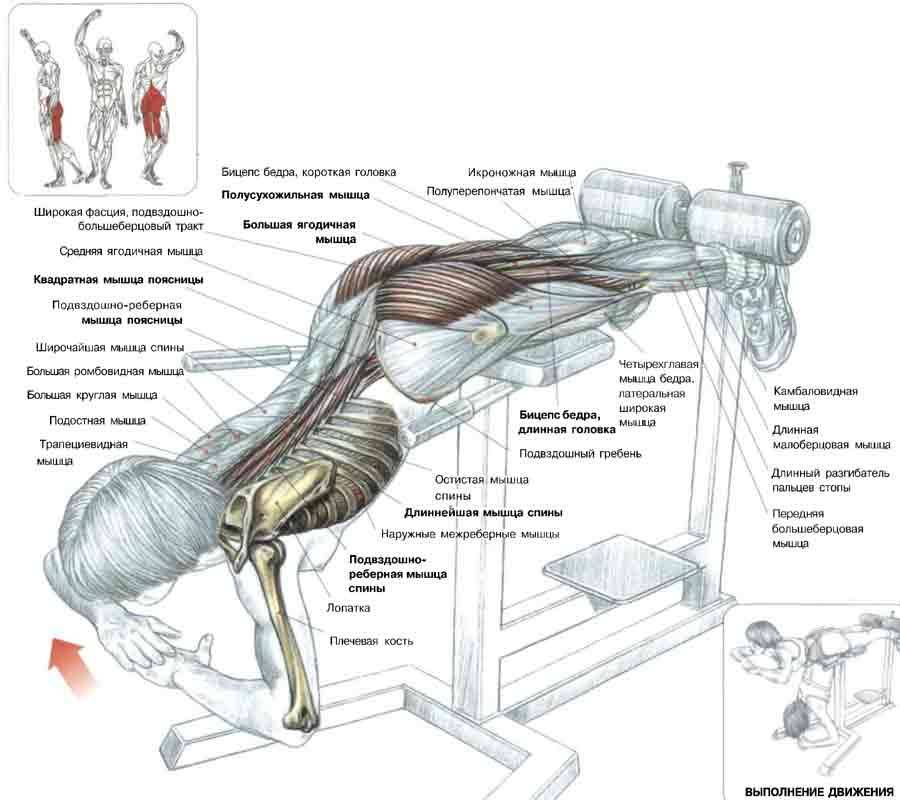 Упражнения при боли в пояснице. комплекс для проработки поясничного отдела позвоночника и мышц спины