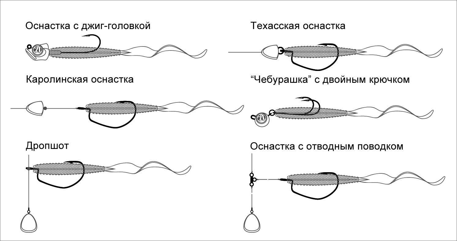 Рыбалка для начинающих. с чего начать?