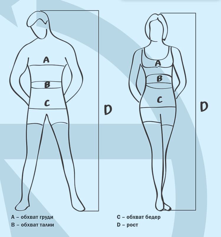 Измерения и пропорции в бодибилдинге: обхват бедер, груди, талии