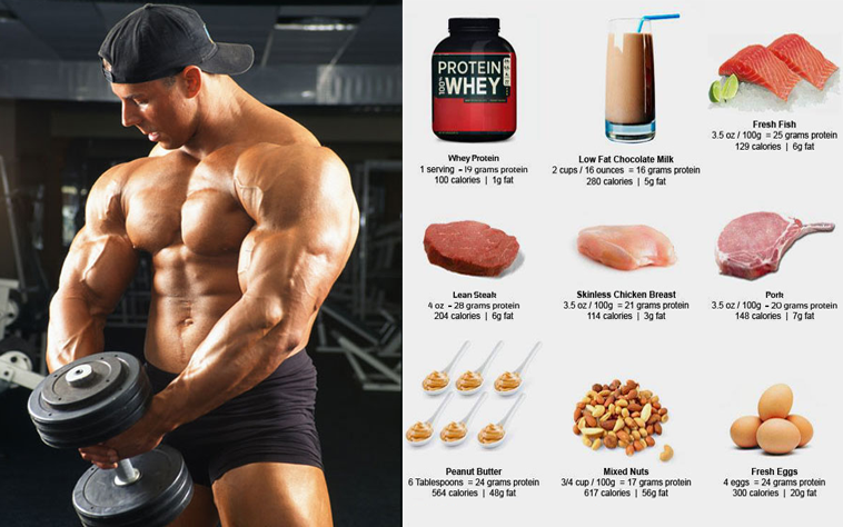 Сколько нужно протеина, чтобы нарастить мышечную массу