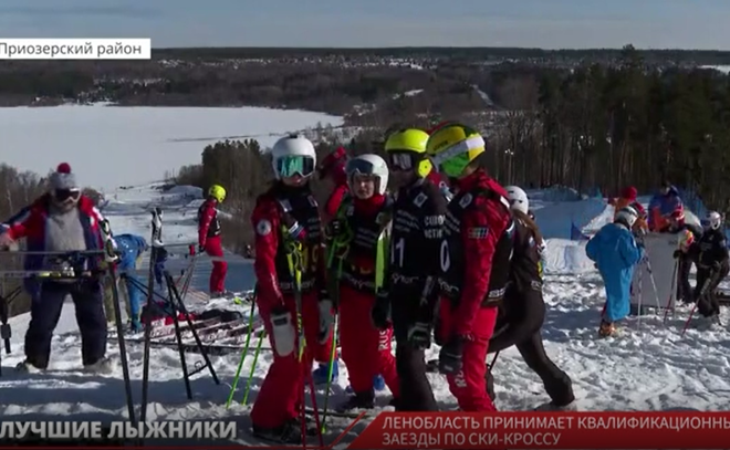 Лыжный кросс - frwiki.wiki
