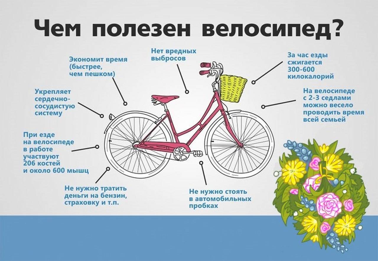 Польза езды на велосипеде для женщин и как она влияет на состояние здоровья